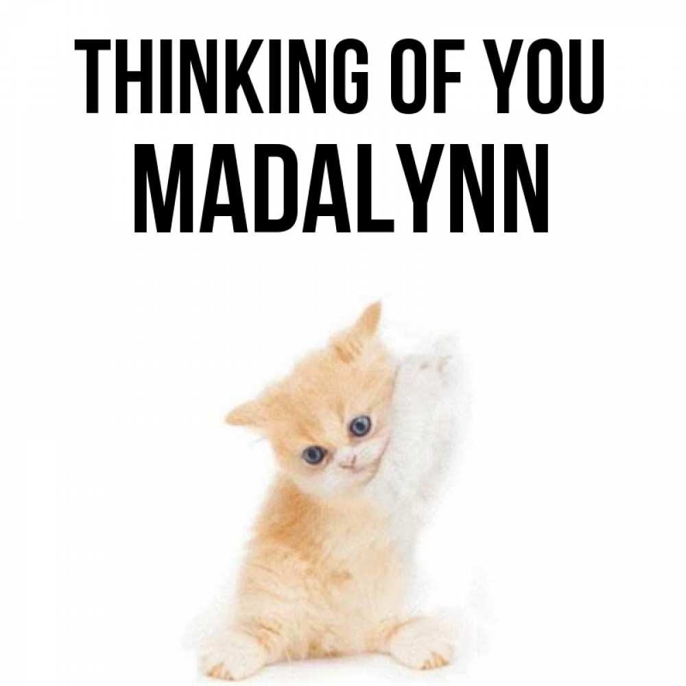 Greetings card с именем, Madalynn Thinking of you зверушки и милота Greetings with text for free download 