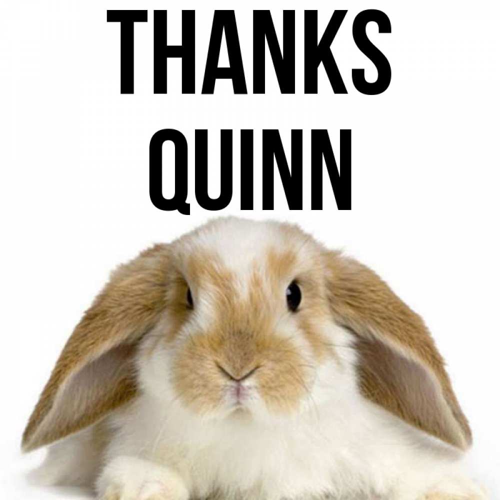 Greetings card с именем, Quinn Thanks коричнево белый заяц Greetings with text for free download 