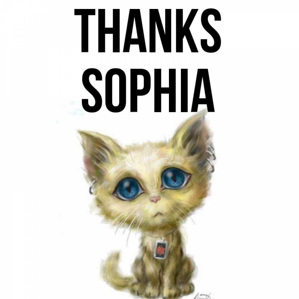 Greetings card с именем, Sophia Thanks рисованный кот благодарит вас Greetings with text for free download 