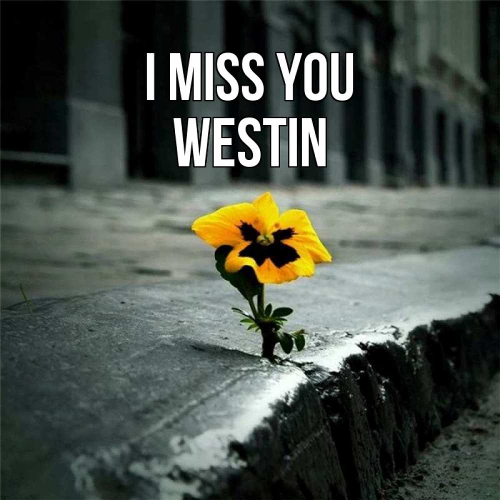Greetings card с именем, Westin I miss you надеюсь будет лучше Greetings with text for free download 