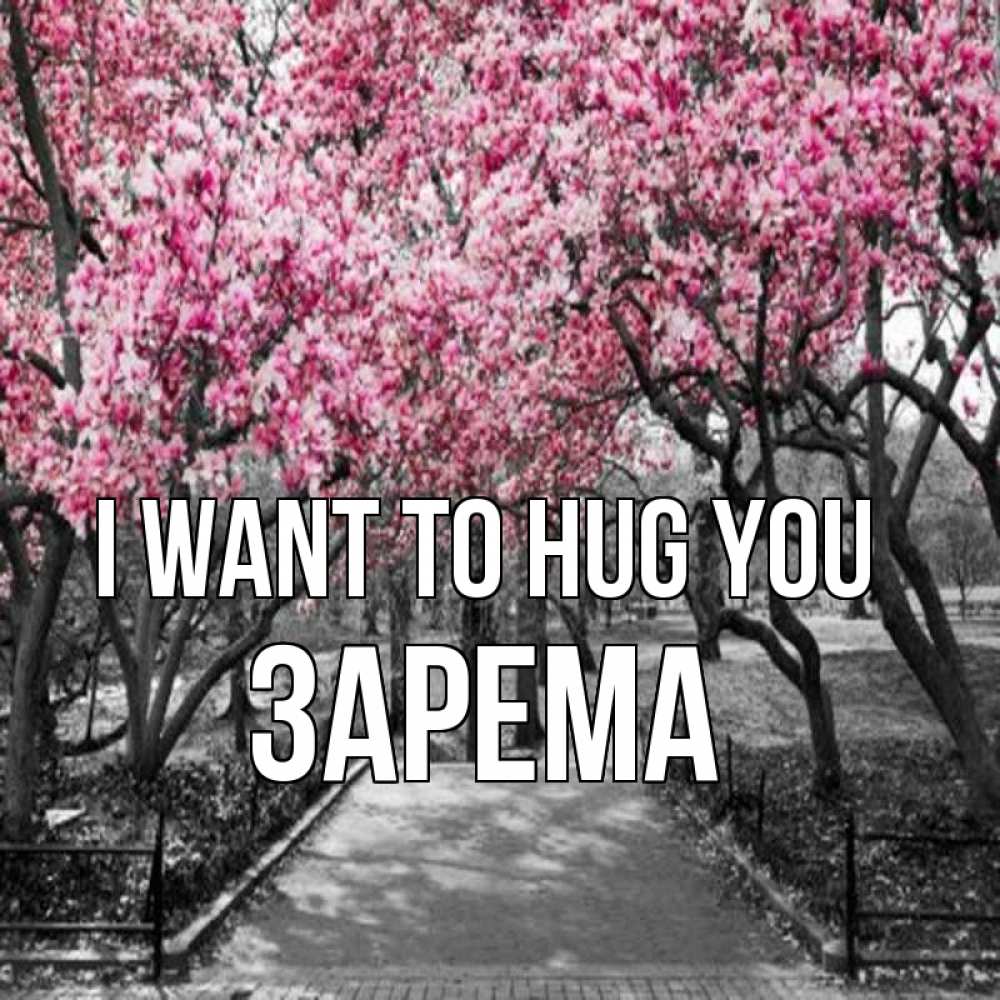 Greetings card с именем, ЗАРЕМА I want to hug you обработанное фото Greetings with text for free download 