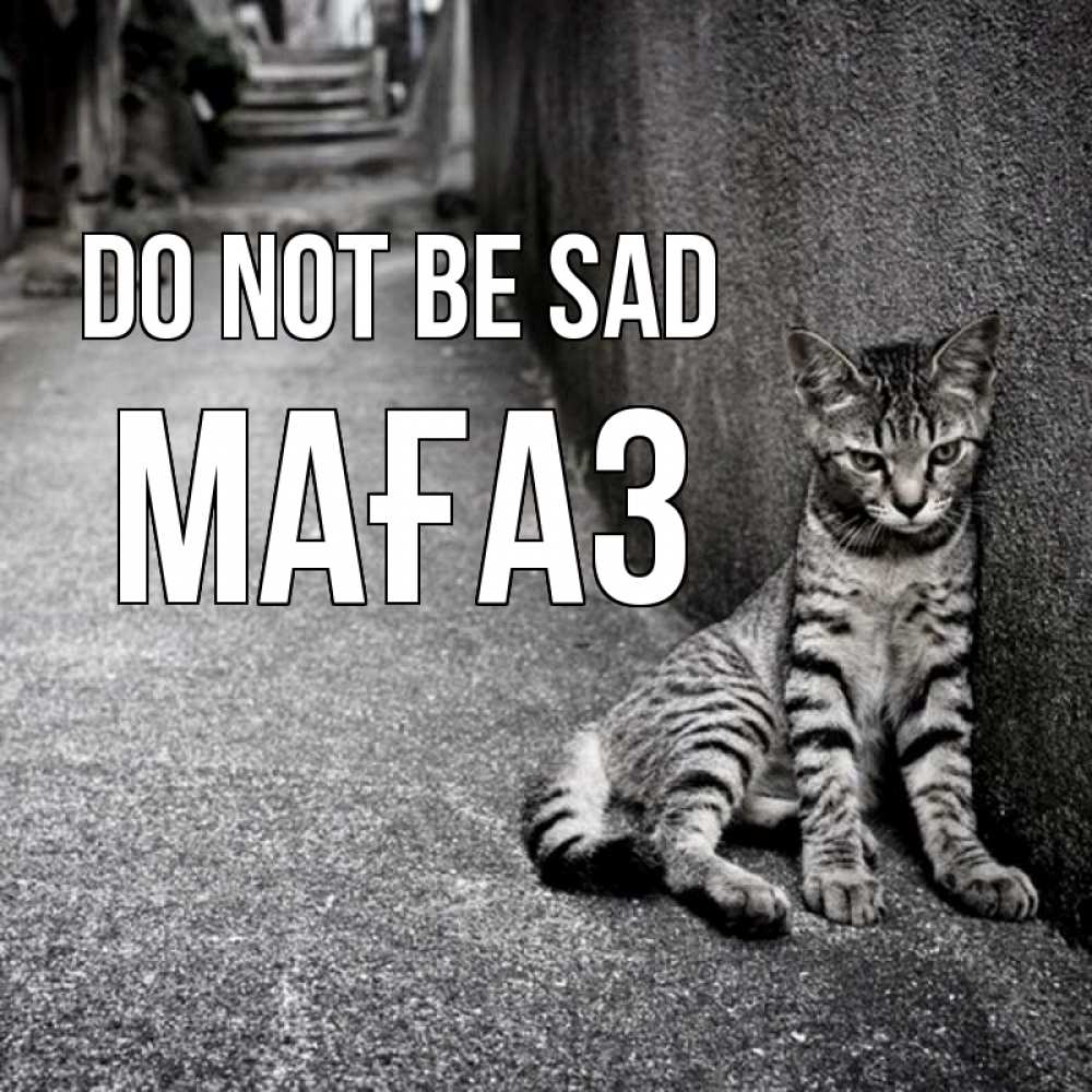 Greetings card с именем, МАҒАЗ Do not be sad скучающий котик Greetings with text for free download 
