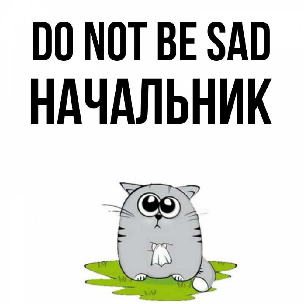 Greetings card с именем, Начальник Do not be sad грустный котяра Greetings with text for free download 