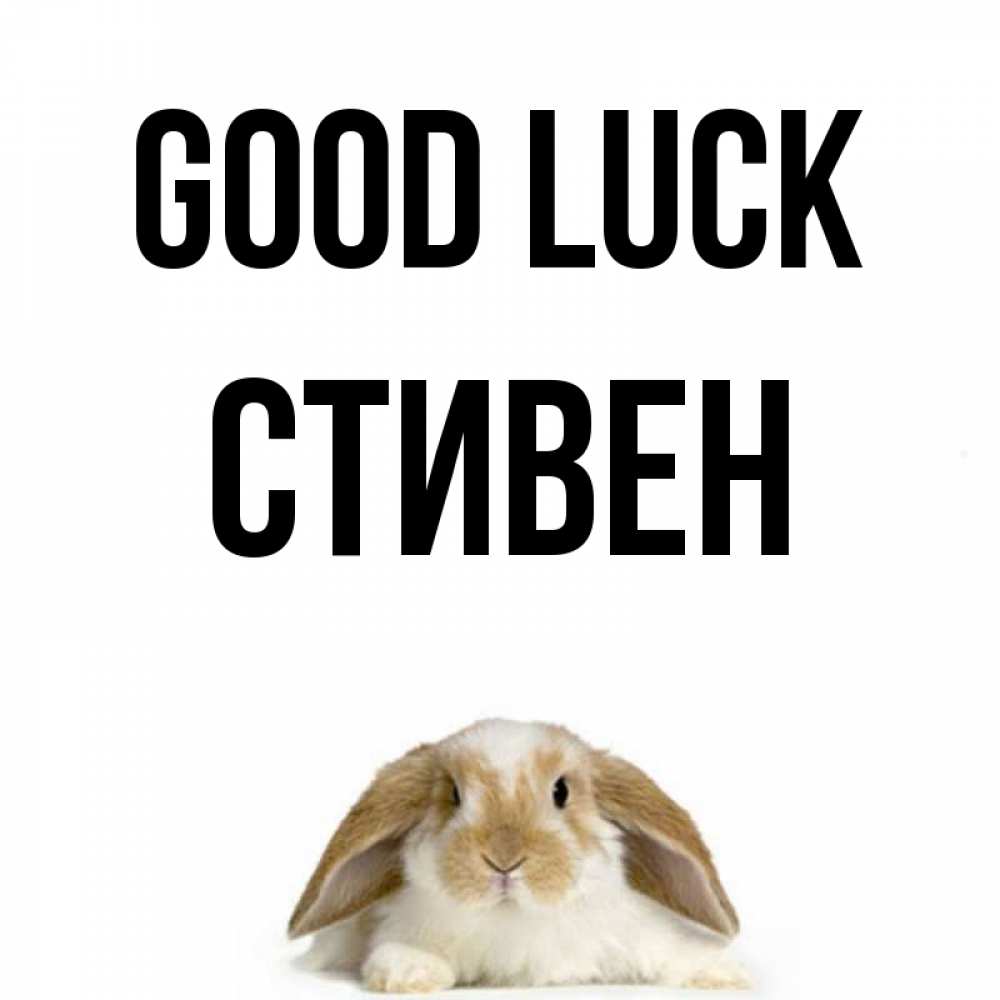 Greetings card с именем, Стивен Good luck открытки с произвольным текстом который можно вставить в открытку и создать ее самостоятельно бесплатно онлайн Greetings with text for free download 