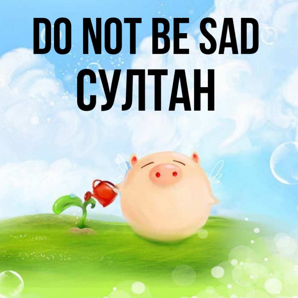 Greetings card с именем, Султан Do not be sad поливает цветок порося Greetings with text for free download 
