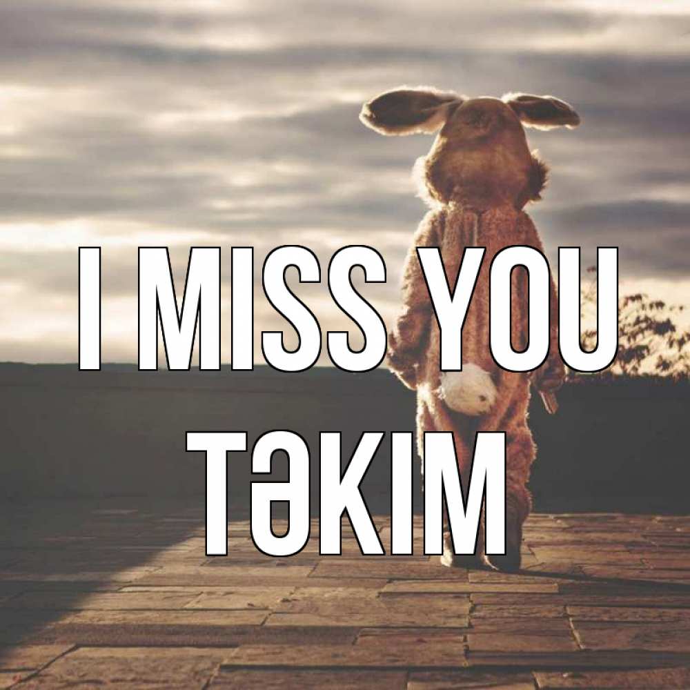 Greetings card с именем, ТӘКІМ I miss you даже в костюме зайца Greetings with text for free download 