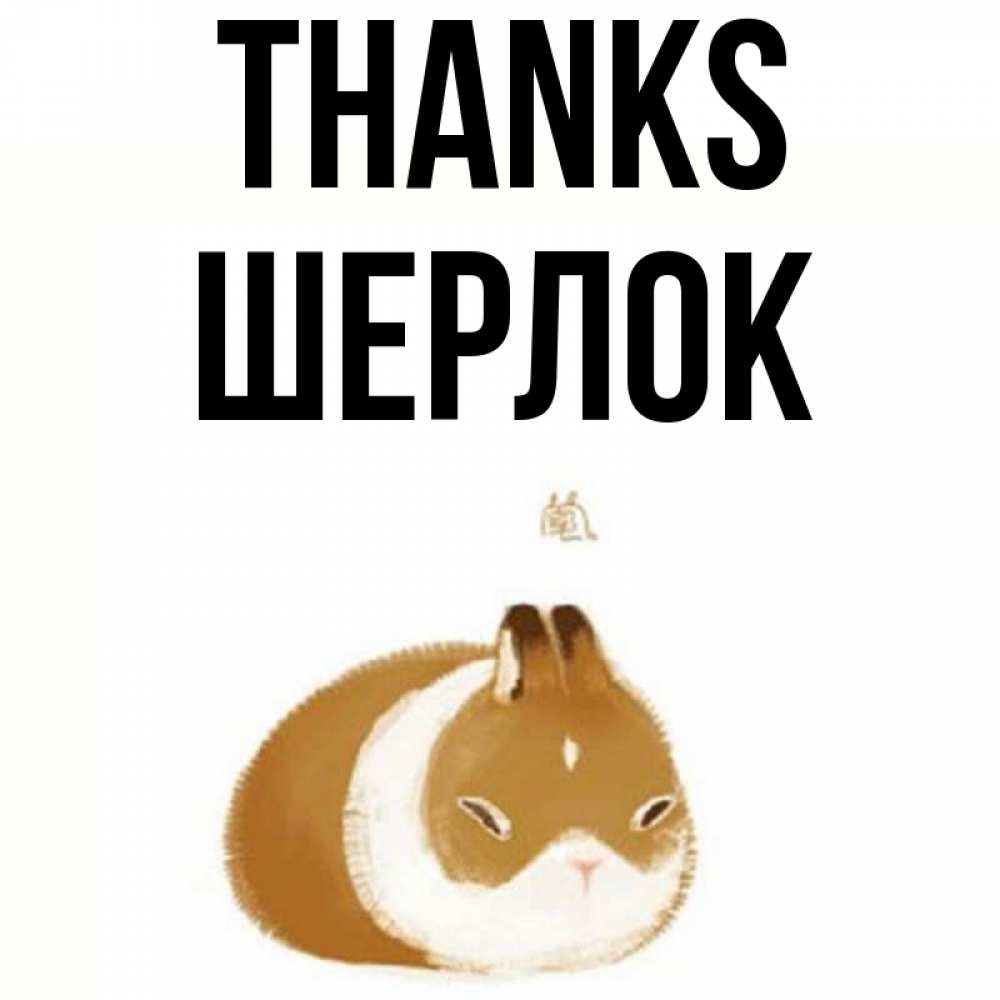 Greetings card с именем, Шерлок Thanks коричнево белый домашний питомец Greetings with text for free download 