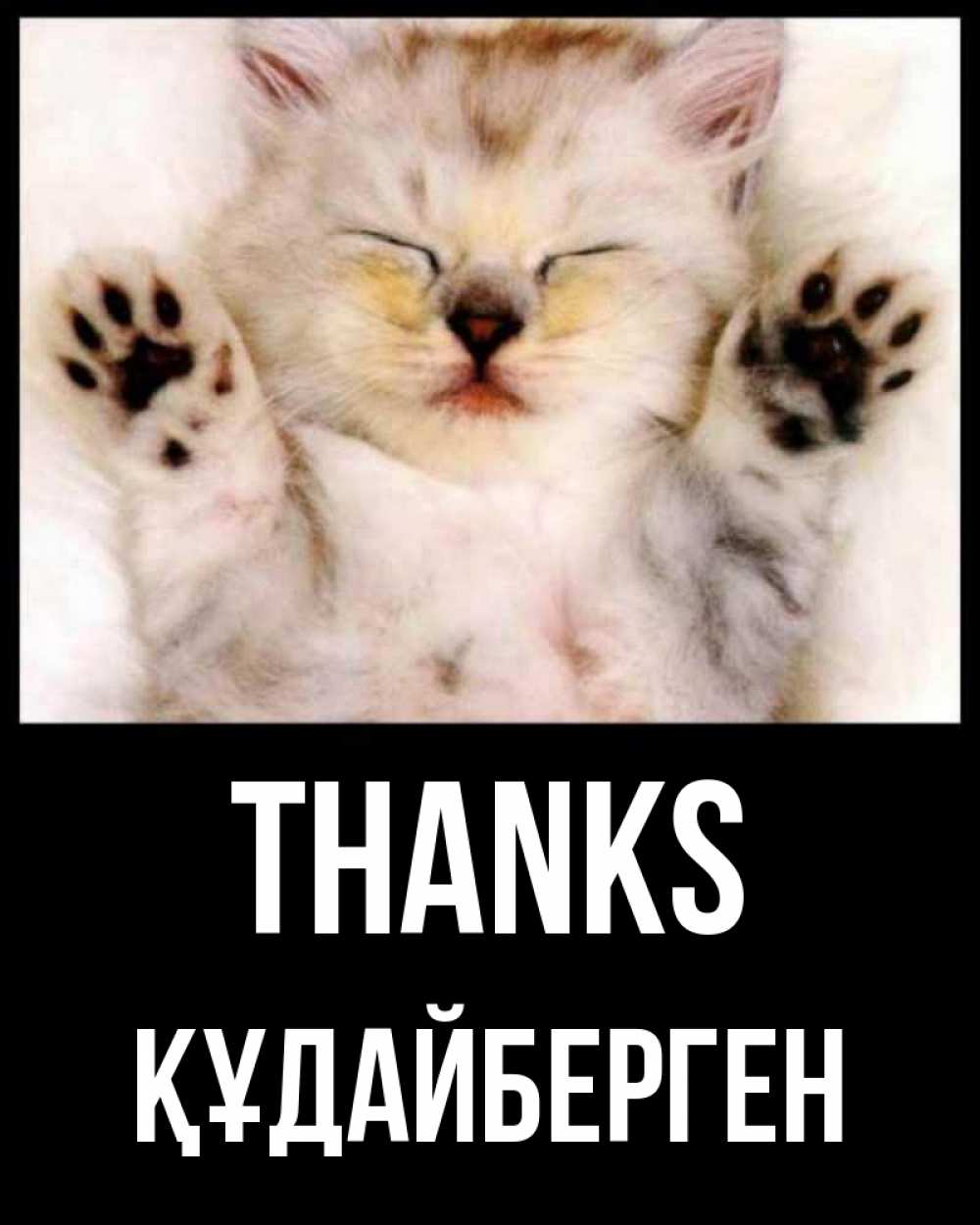 Greetings card с именем, ҚҰДАЙБЕРГЕН Thanks маленький котенок Greetings with text for free download 