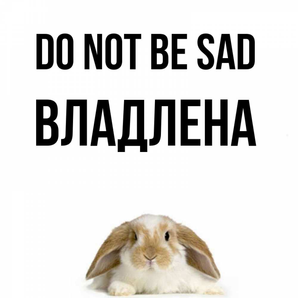 Greetings card с именем, Владлена Do not be sad коричнево белый заяц с большими ушками Greetings with text for free download 