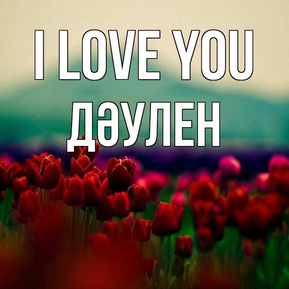 Greetings card с именем, Дәулен I love you тюльпаны 4 Greetings with text for free download 