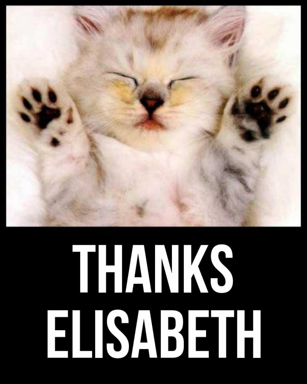 Greetings card с именем, Elisabeth Thanks маленький котенок Greetings with text for free download 