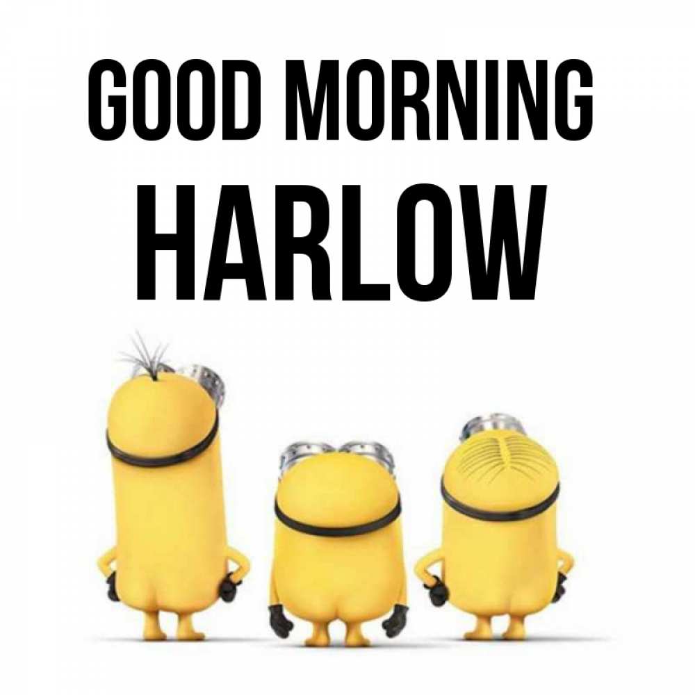Greetings card с именем, Harlow Good morning подписать открытку онлайн бесплатно Greetings with text for free download 