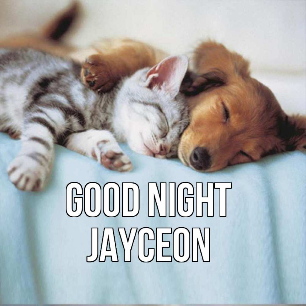 Greetings card с именем, Jayceon Good night с животными Greetings with text for free download 