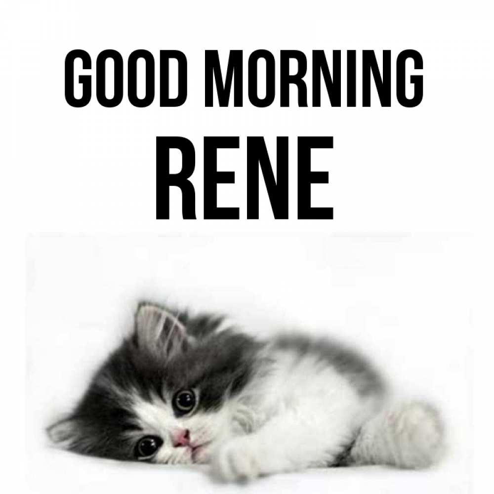 Greetings card с именем, Rene Good morning кот лапки Greetings with text for free download 