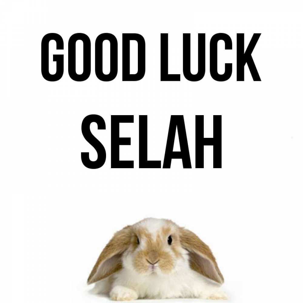 Greetings card с именем, Selah Good luck открытки с произвольным текстом который можно вставить в открытку и создать ее самостоятельно бесплатно онлайн Greetings with text for free download 