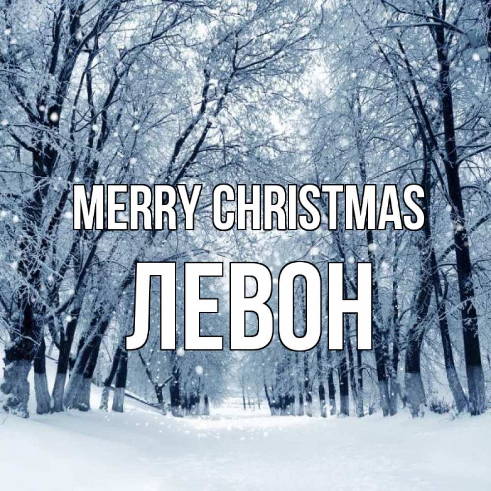 Greetings card с именем, Левон Merry Christmas снег, лес, парк Greetings with text for free download 