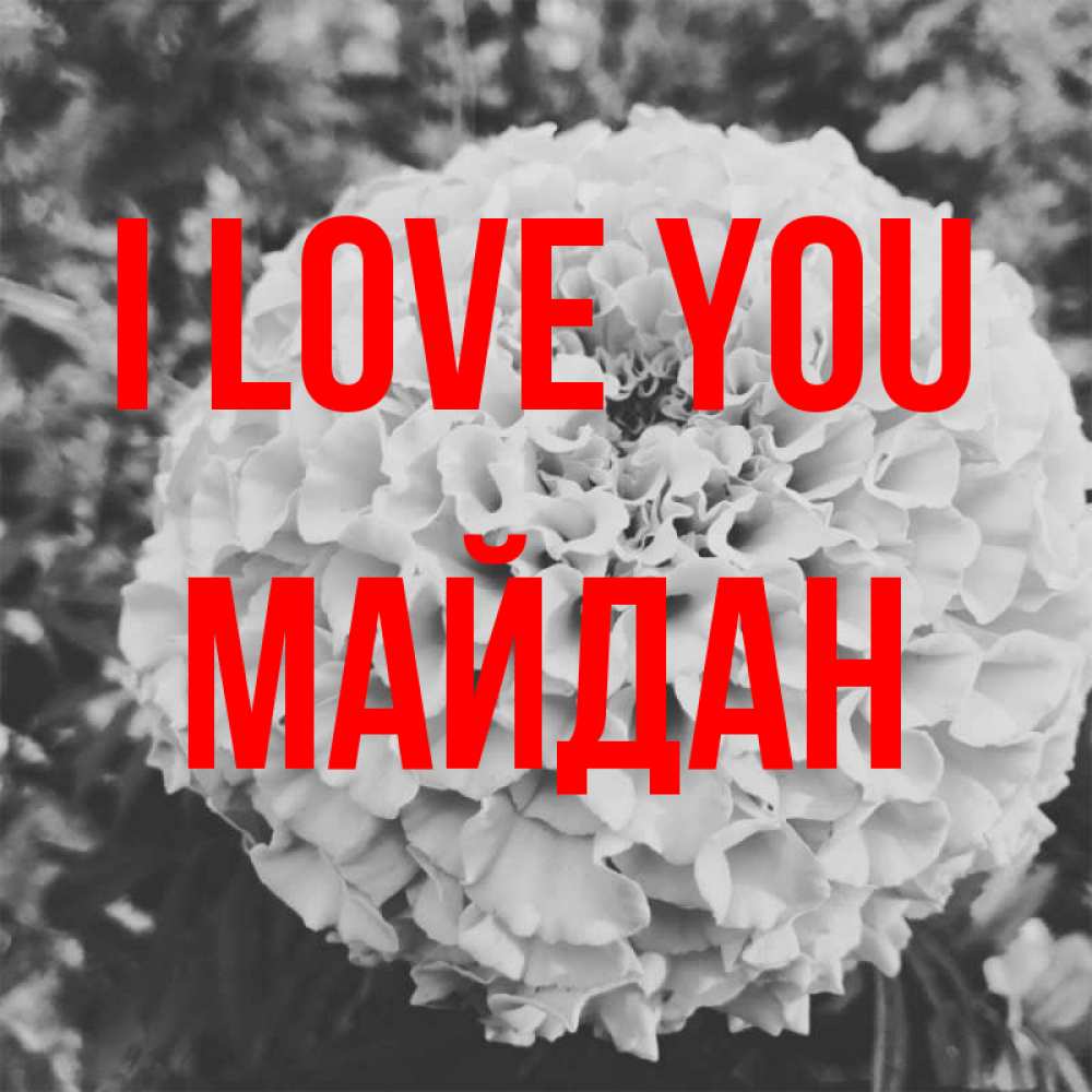 Greetings card с именем, МАЙДАН I love you подпись Greetings with text for free download 