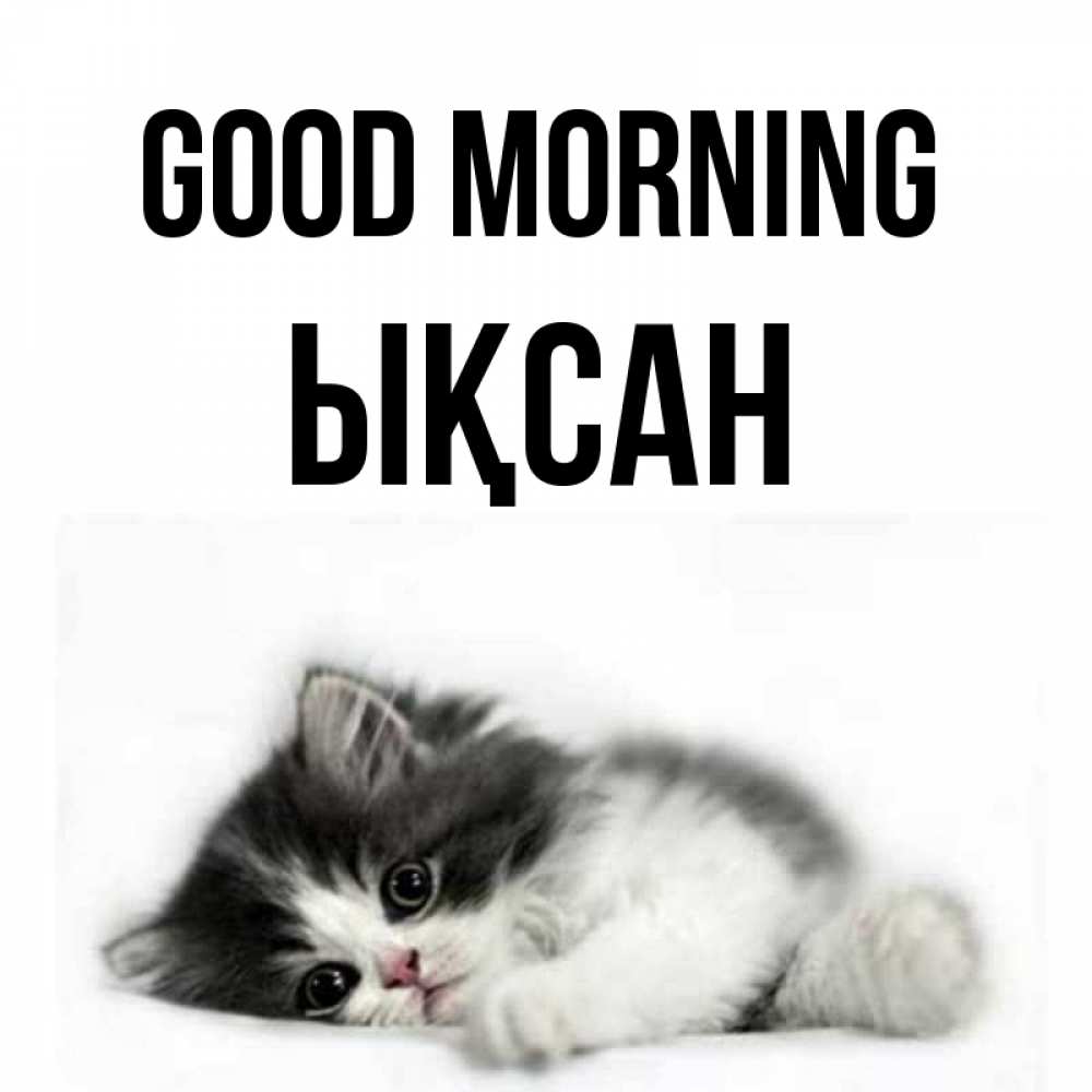 Greetings card с именем, ЫҚСАН Good morning кот лапки Greetings with text for free download 