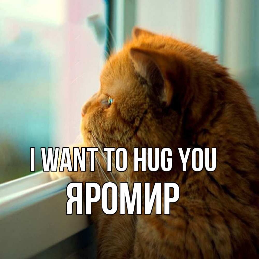 Greetings card с именем, Яромир I want to hug you большой огромный рыжий котяра Greetings with text for free download 
