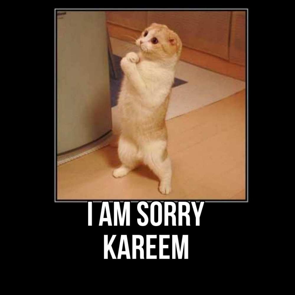 Greetings card с именем, Kareem I am sorry открытка с милым несчастным котиком просящим прощения Greetings with text for free download 
