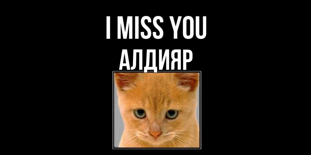 Greetings card с именем, Алдияр I miss you открытки рыжий котенок скучает по тебе Greetings with text for free download 