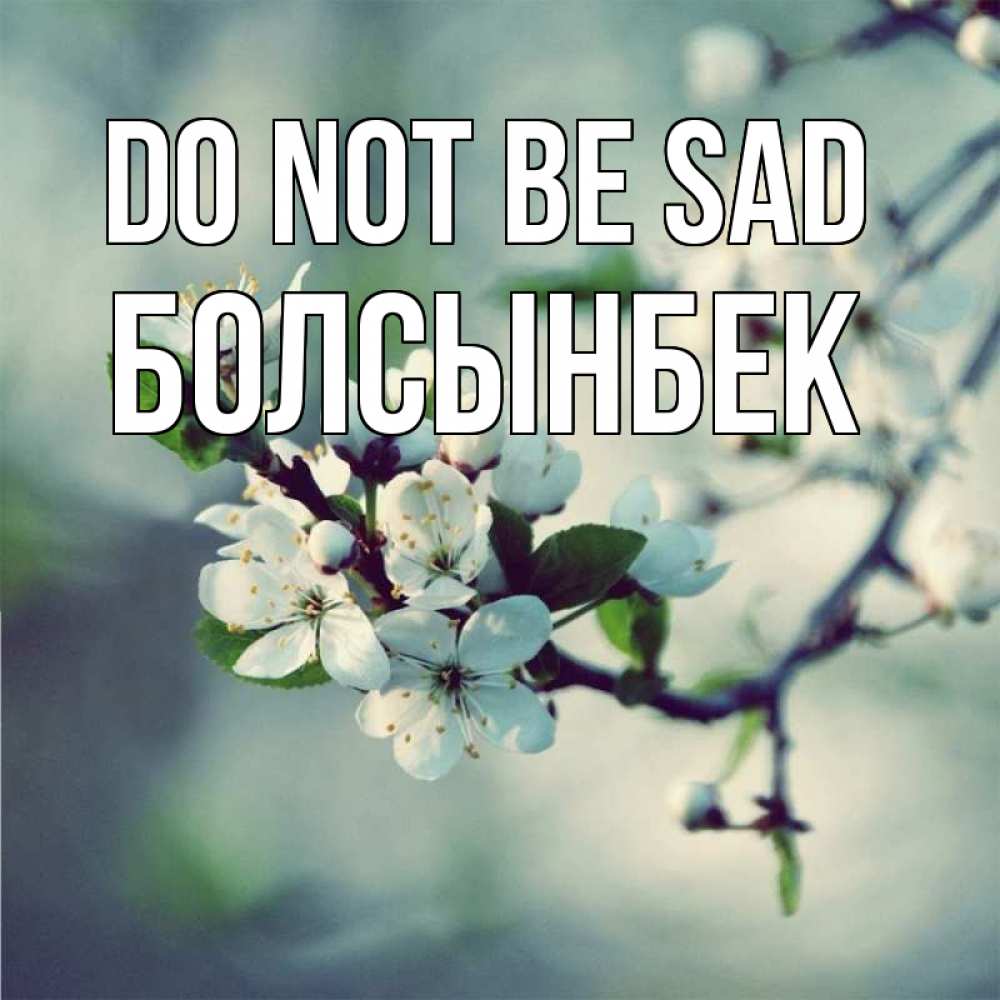 Greetings card с именем, Болсынбек Do not be sad яблоня в цвету 1 Greetings with text for free download 