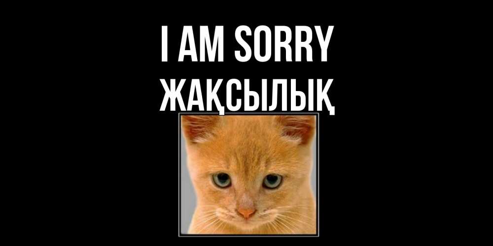 Greetings card с именем, Жақсылық I am sorry рыжий грустный кот просит прощения Greetings with text for free download 