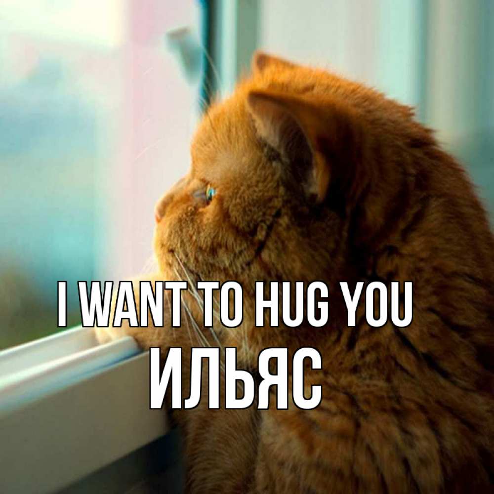 Greetings card с именем, Ильяс I want to hug you большой огромный рыжий котяра Greetings with text for free download 