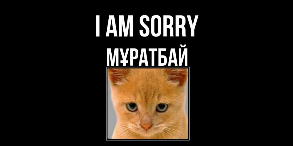 Greetings card с именем, Мұратбай I am sorry рыжий грустный кот просит прощения Greetings with text for free download 
