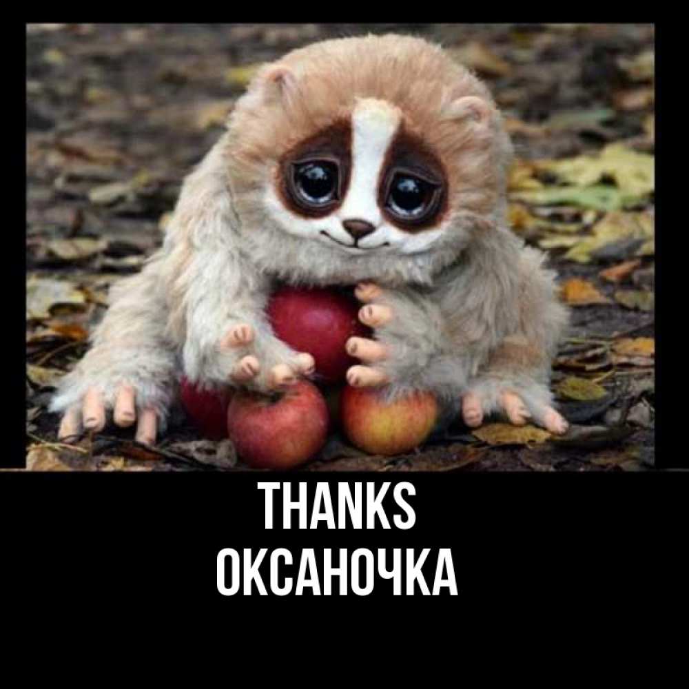 Greetings card с именем, Оксаночка Thanks прикольное животное Greetings with text for free download 