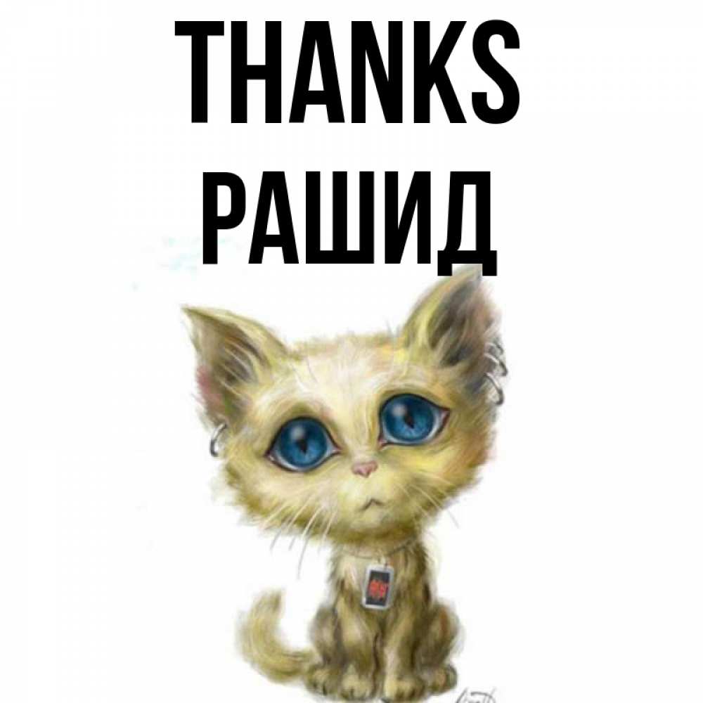 Greetings card с именем, Рашид Thanks рисованный кот благодарит вас Greetings with text for free download 