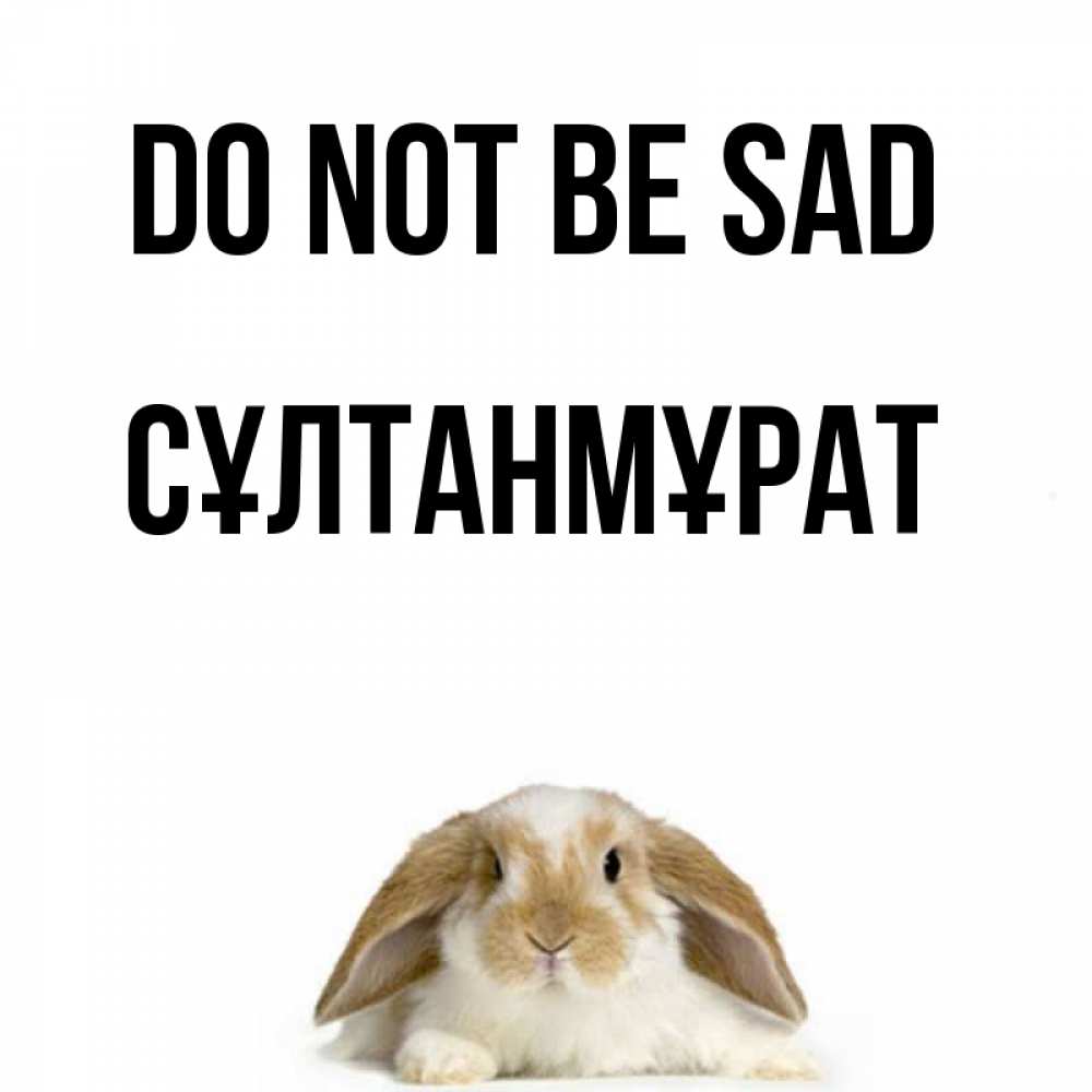 Greetings card с именем, СҰЛТАНМҰРАТ Do not be sad коричнево белый заяц с большими ушками Greetings with text for free download 