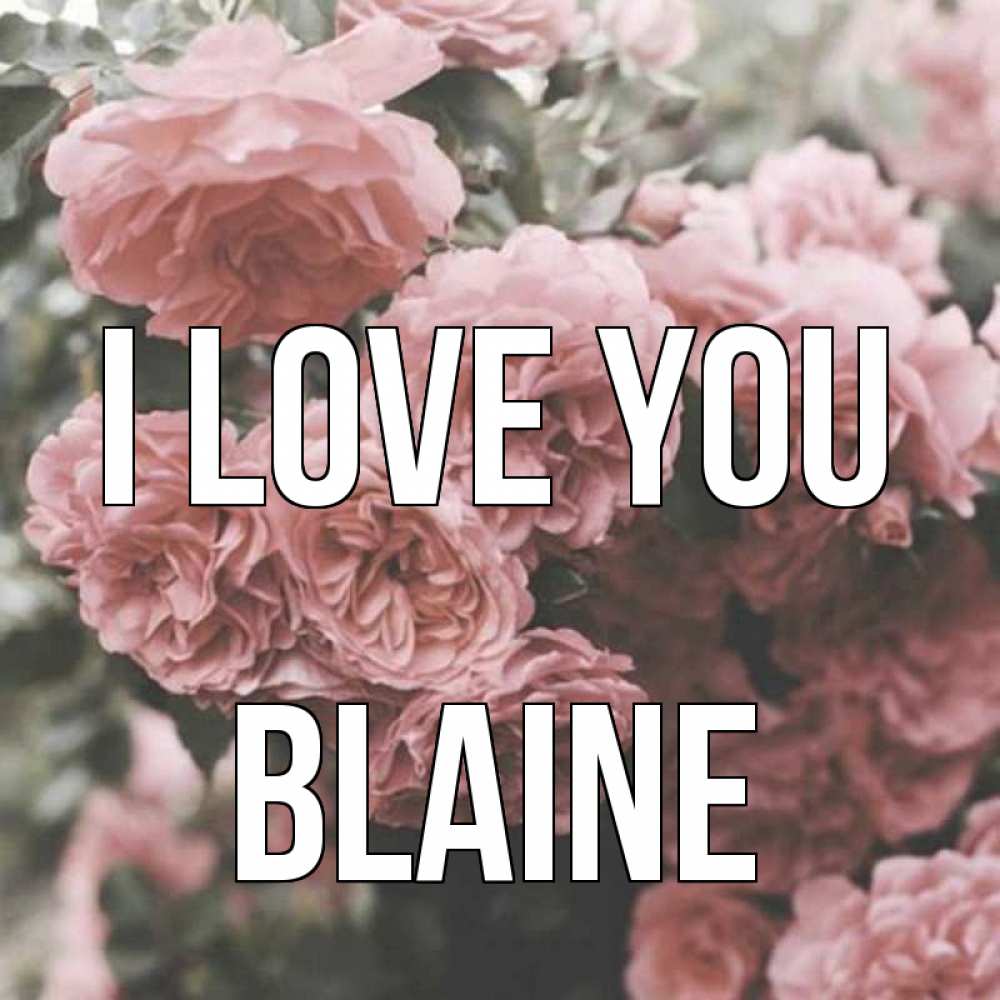 Greetings card с именем, Blaine I love you розы 3 Greetings with text for free download 