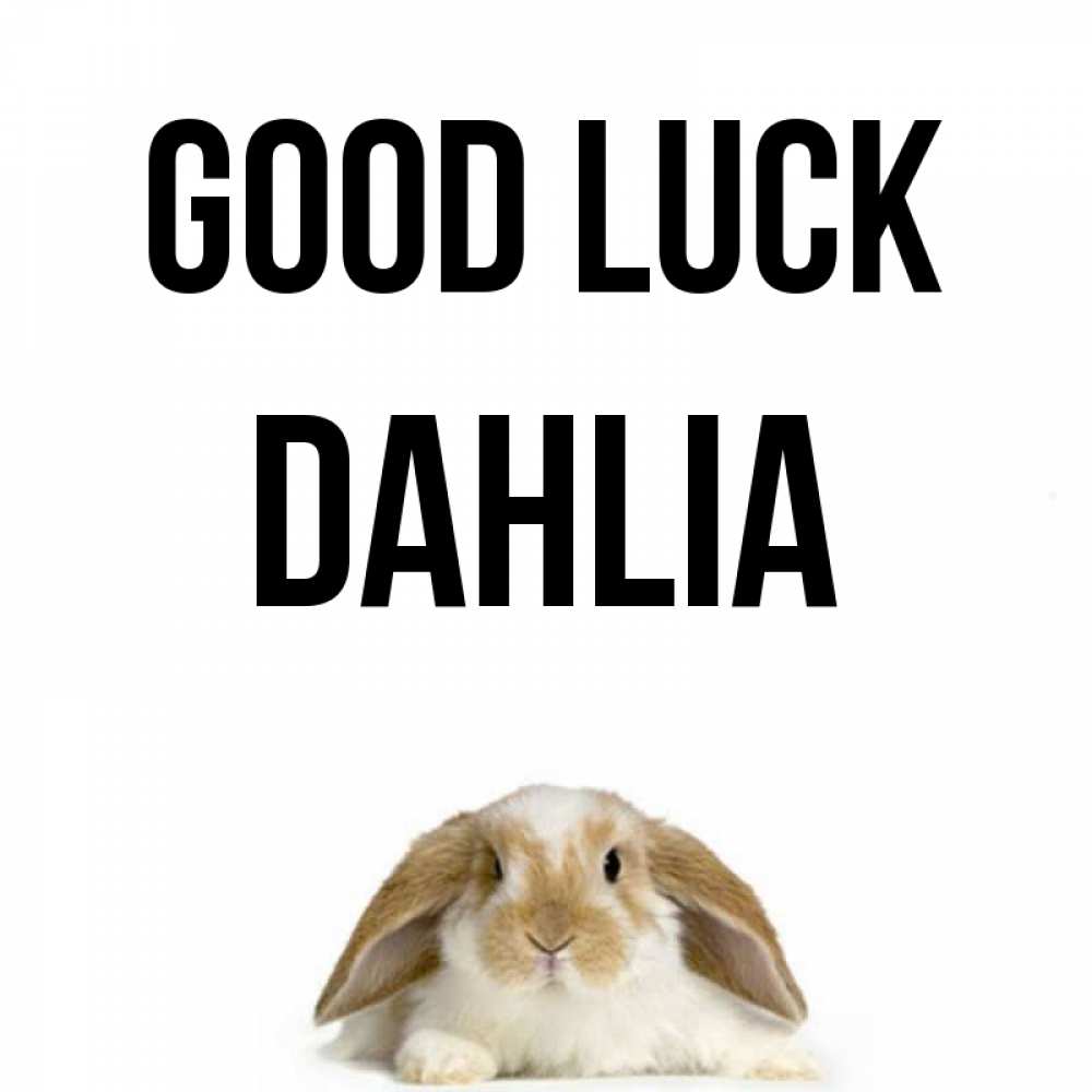 Greetings card с именем, Dahlia Good luck открытки с произвольным текстом который можно вставить в открытку и создать ее самостоятельно бесплатно онлайн Greetings with text for free download 