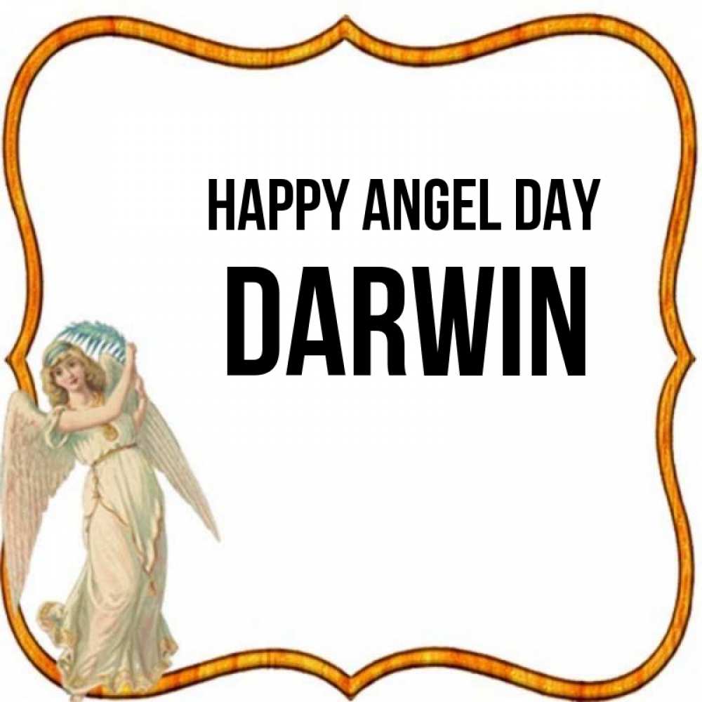 Greetings card с именем, Darwin happy angel day рамочка простая Greetings with text for free download 