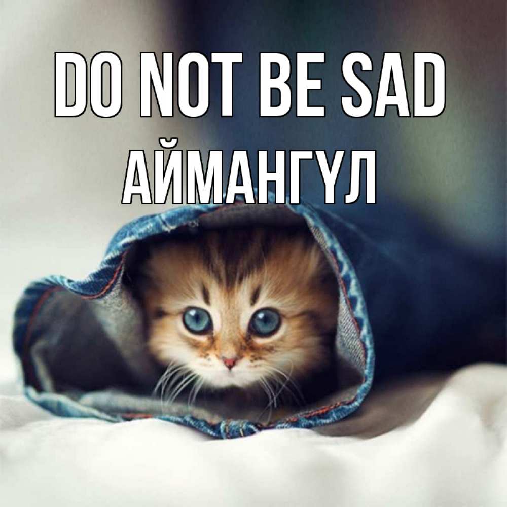Greetings card с именем, Аймангүл Do not be sad кот в одежде Greetings with text for free download 