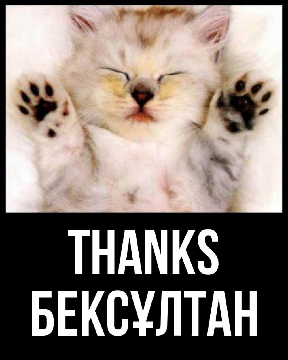Greetings card с именем, Бексұлтан Thanks маленький котенок Greetings with text for free download 