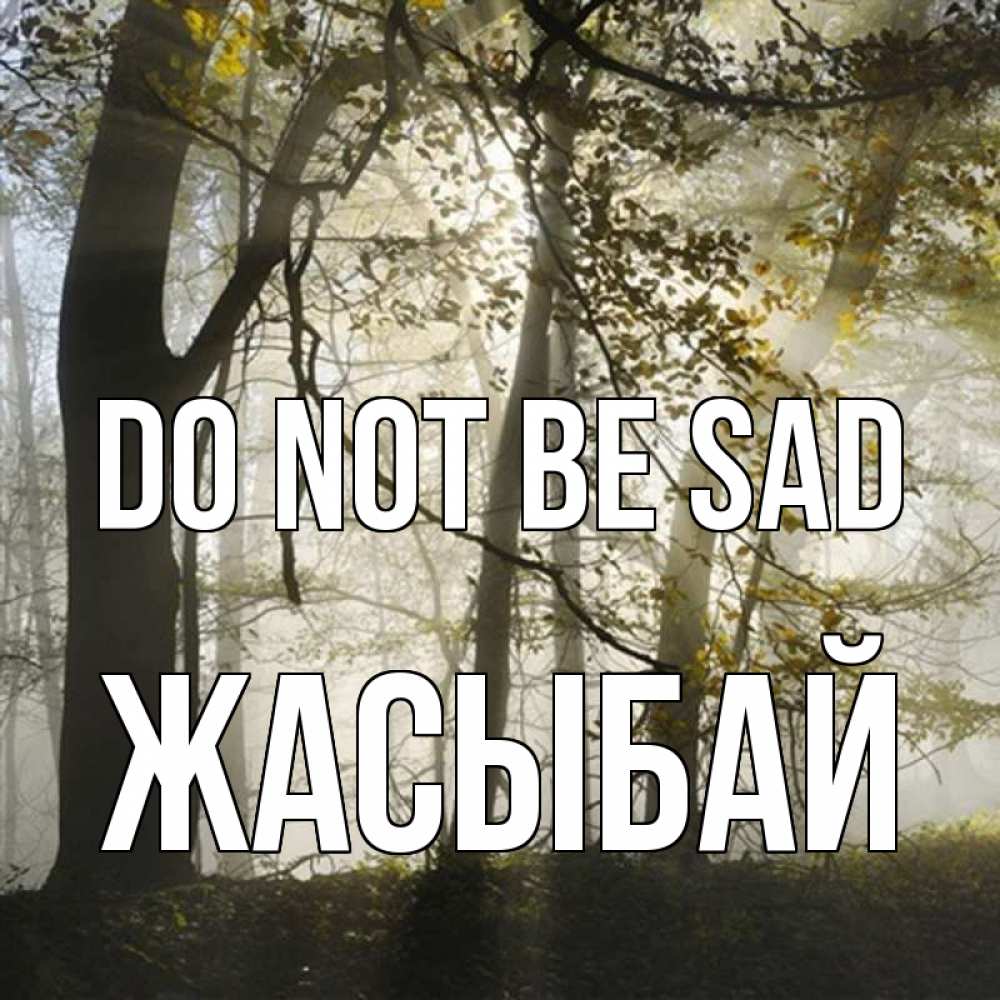 Greetings card с именем, Жасыбай Do not be sad лес и свет Greetings with text for free download 