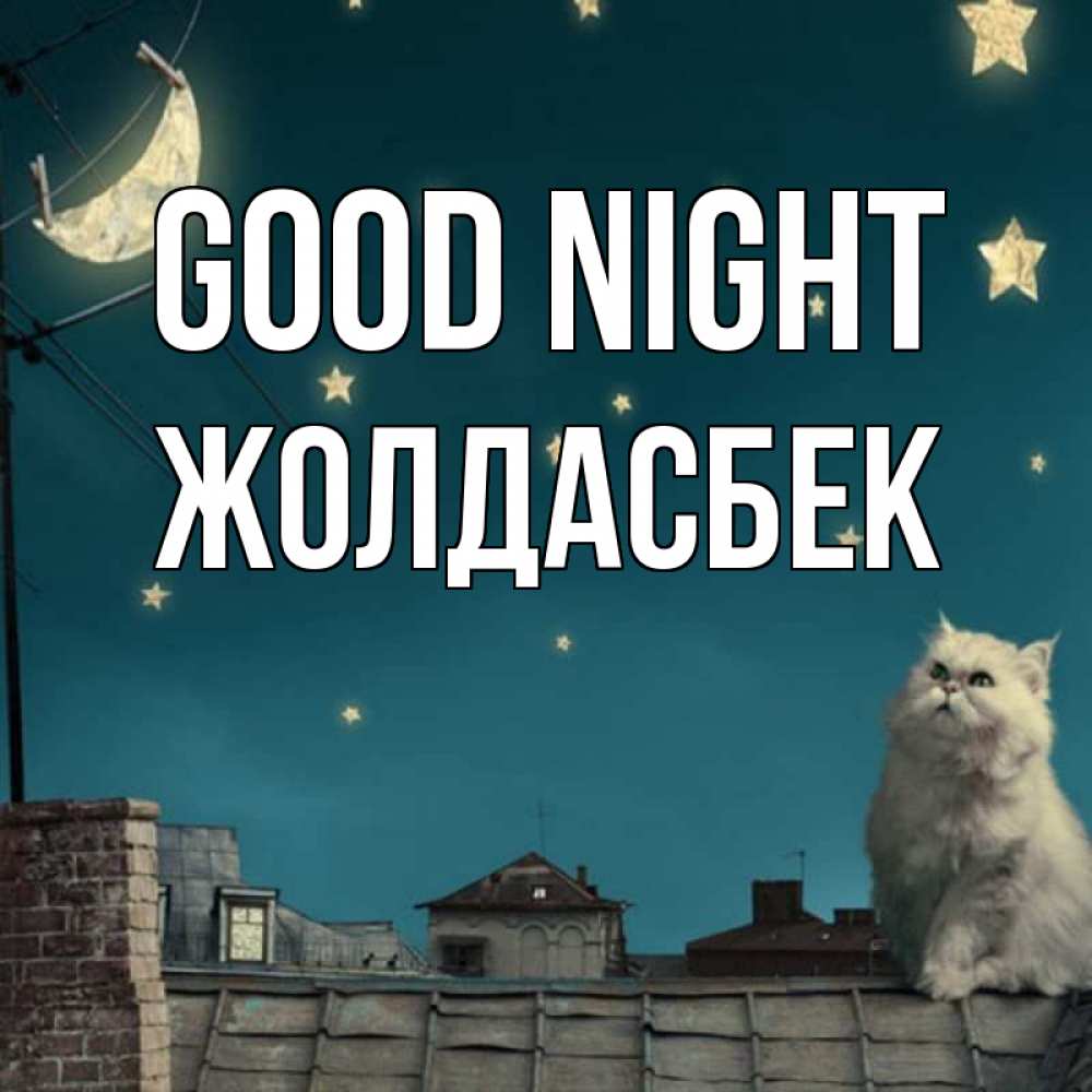 Greetings card с именем, Жолдасбек Good night белый кот сидит на крыше Greetings with text for free download 