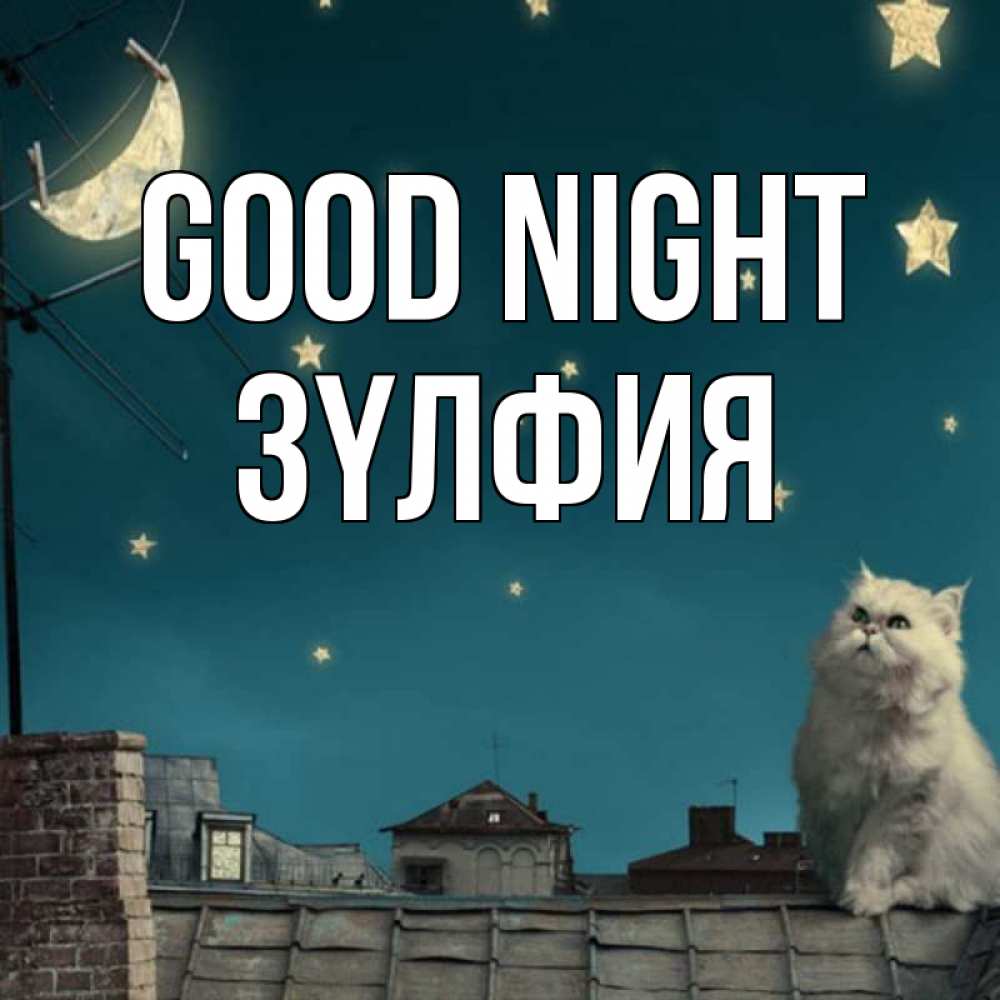 Greetings card с именем, ЗҮЛФИЯ Good night белый кот сидит на крыше Greetings with text for free download 