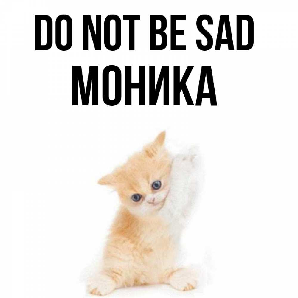 Greetings card с именем, Моника Do not be sad просящий кот Greetings with text for free download 