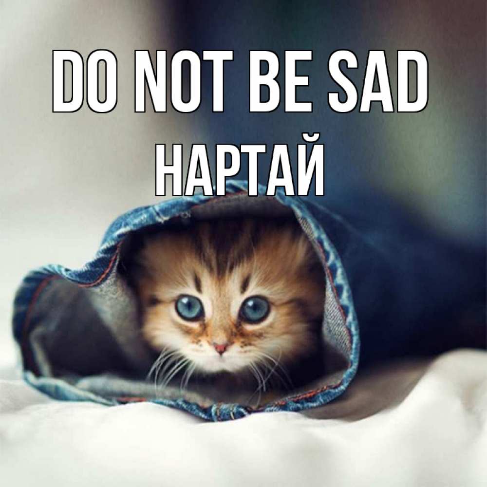 Greetings card с именем, Нартай Do not be sad кот в одежде Greetings with text for free download 