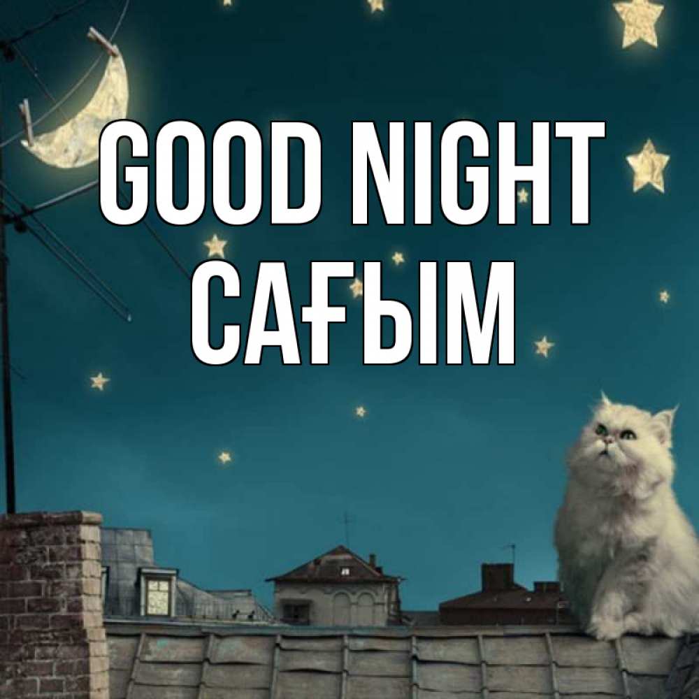 Greetings card с именем, САҒЫМ Good night белый кот сидит на крыше Greetings with text for free download 