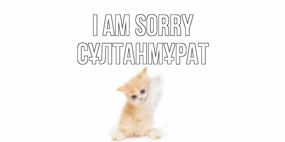 Greetings card с именем, СҰЛТАНМҰРАТ I am sorry кот Greetings with text for free download 
