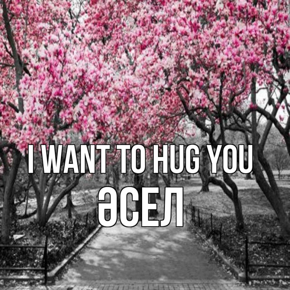Greetings card с именем, ӘСЕЛ I want to hug you обработанное фото Greetings with text for free download 