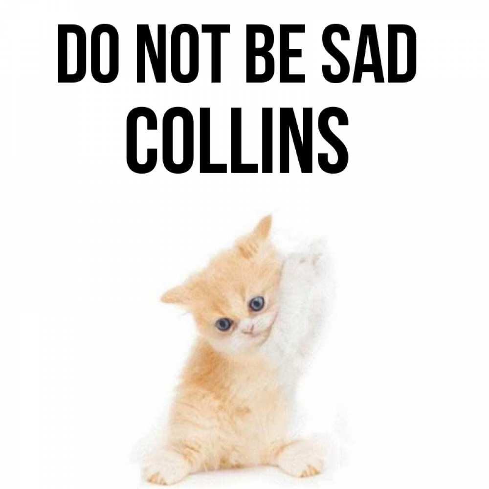 Greetings card с именем, Collins Do not be sad просящий кот Greetings with text for free download 