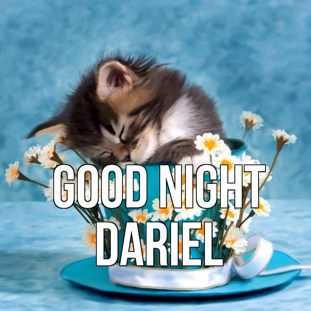 Greetings card с именем, Dariel Good night котенок спит в кружке с блюдцем Greetings with text for free download 