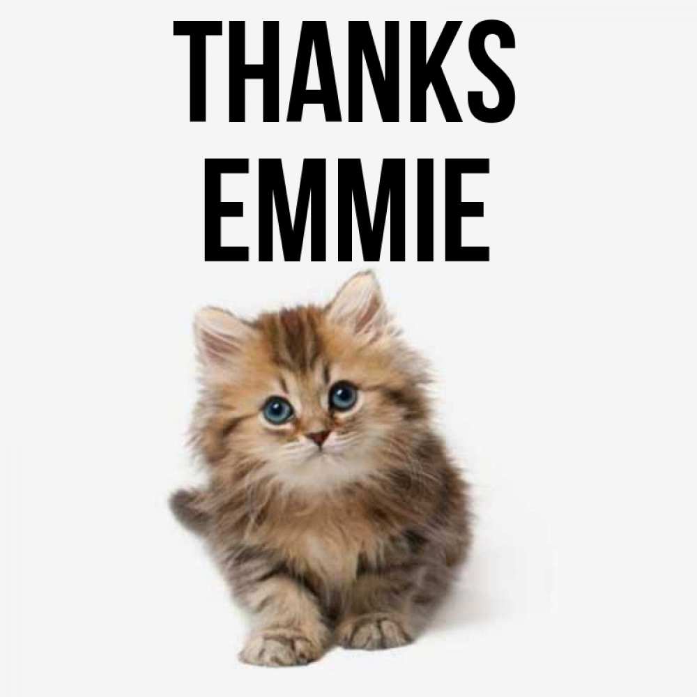 Greetings card с именем, Emmie Thanks пушистый котик Greetings with text for free download 