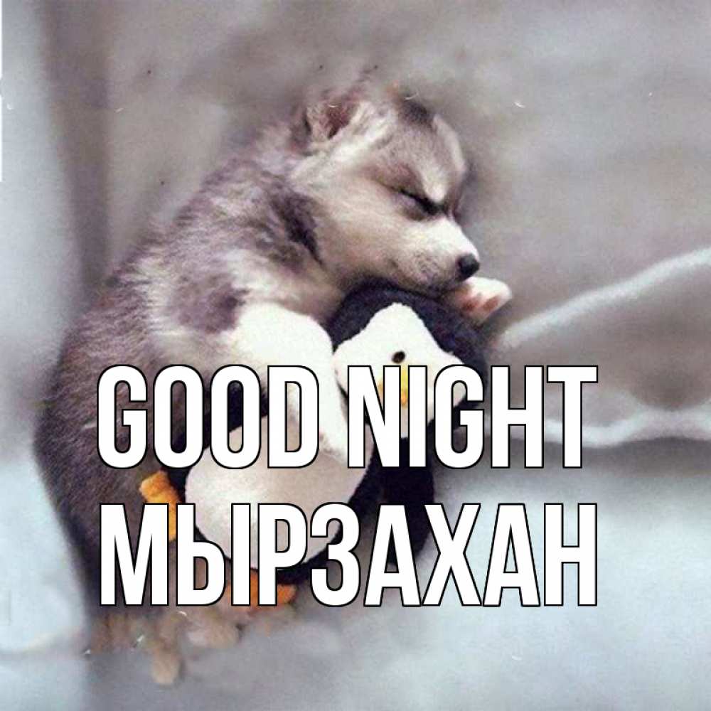 Greetings card с именем, Мырзахан Good night обнимашки щенка и пингвина Greetings with text for free download 