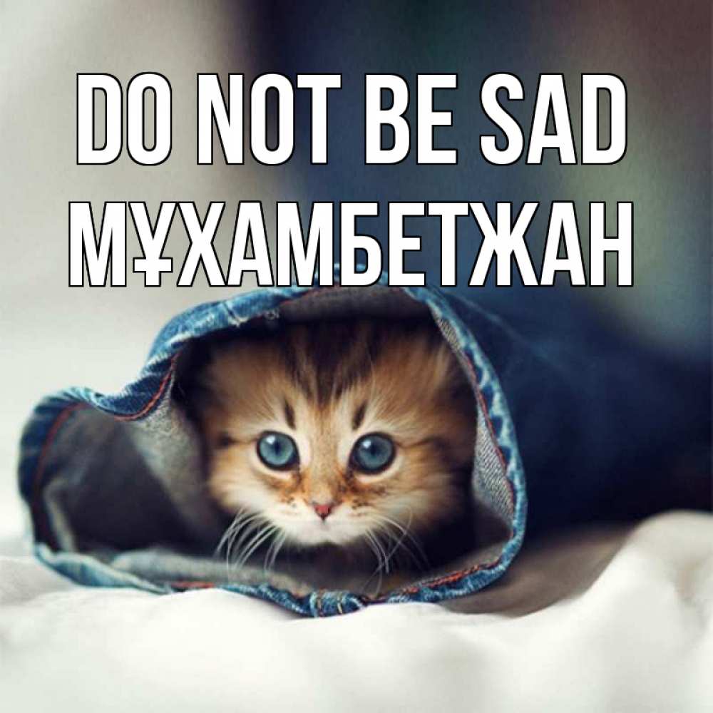 Greetings card с именем, МҰХАМБЕТЖАН Do not be sad кот в одежде Greetings with text for free download 